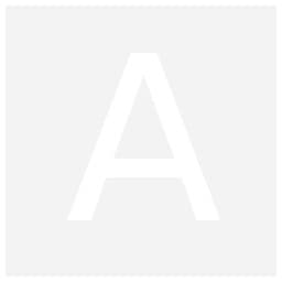 ACE Studio logo
