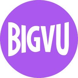 AI Magic Writer by BigVu logo